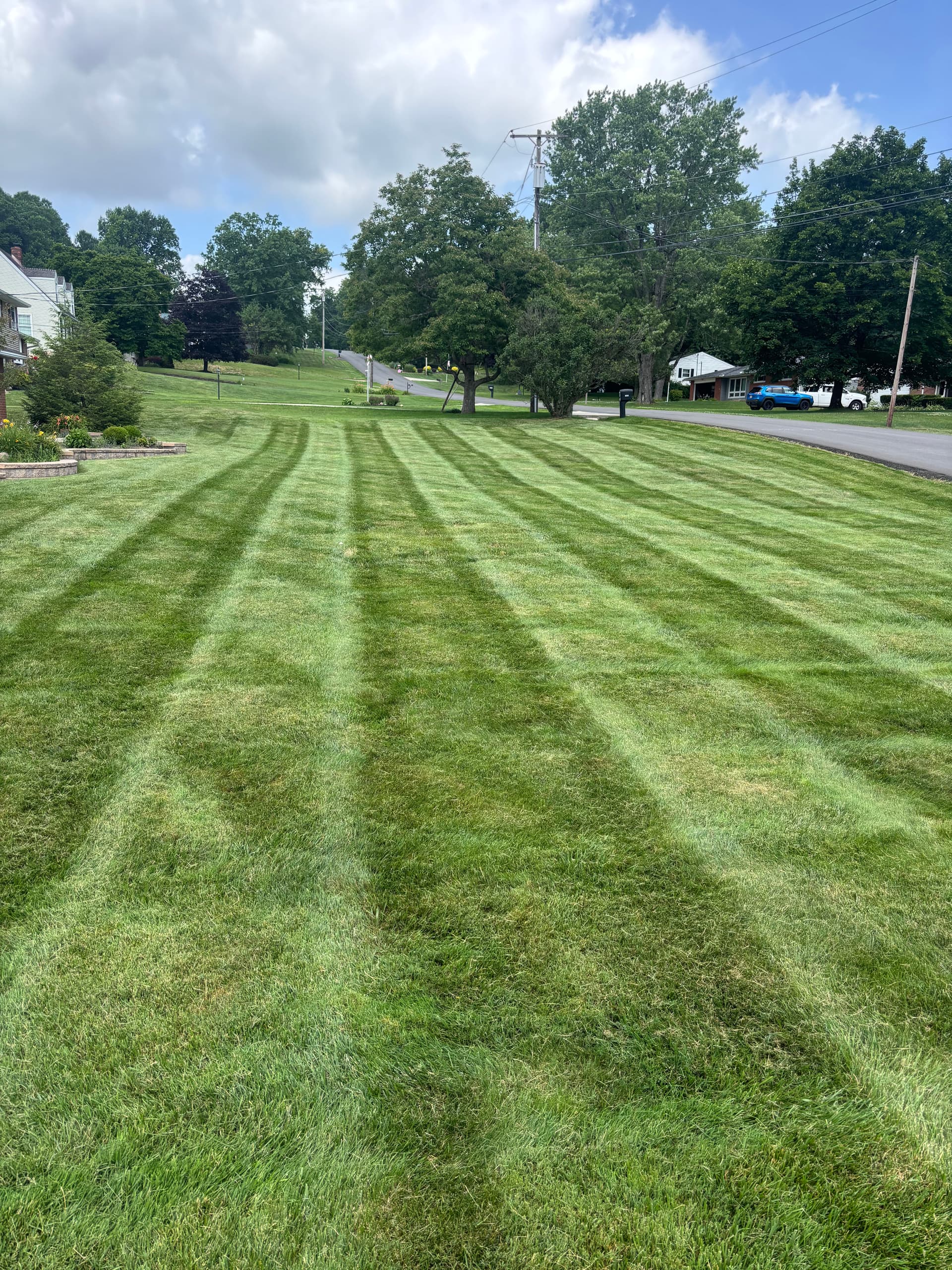 Your Lawn Can Still Look Sharp in the Summer Heat image